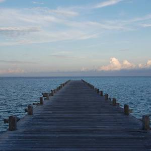 男男多肉污视频
